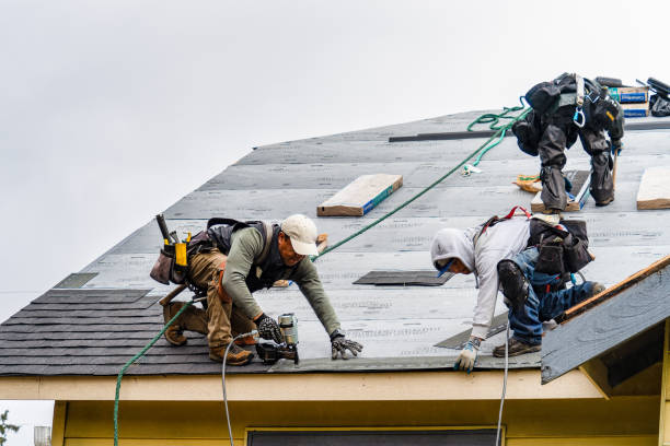 Professional Storm Damage Roof Repair technician working in Lake George, CO